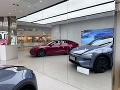 -TESLA 特斯拉(郑州正弘城体验店)