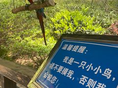 -千岛湖东南湖区