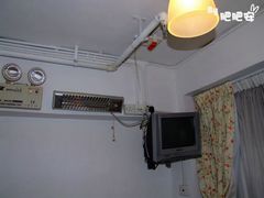肥肥安——红茶馆-红茶馆(油麻地店)
