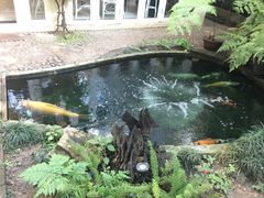-Fern Forest Cafe
