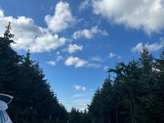 -灵山