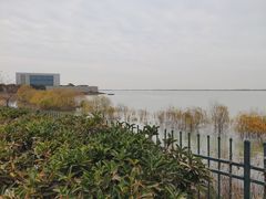 -江滩湿地公园