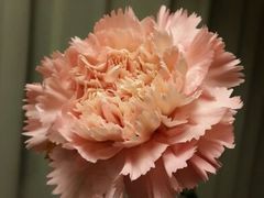 android_upload_pic-厦门悦华酒店