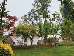 -茅山东方盐湖城景区