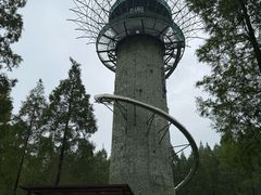 -黄海国家森林公园