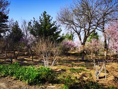 -北京鹫峰国家森林公园