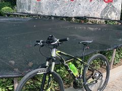 -西青郊野公园