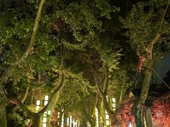 -杭州黄龙洞