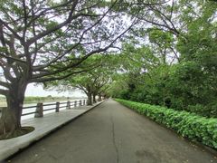 -大湾区中央湿地公园