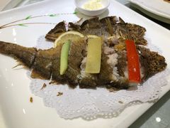 -骏莱海鲜鱼港(五角场店)