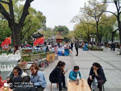 -文瀛公园