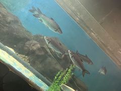-苏州海洋馆