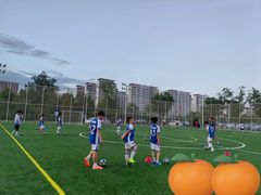 -飞梦少儿足球培训(塘桥校区)