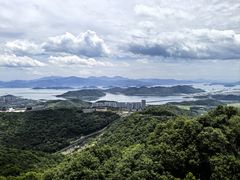 -黄贤森林公园