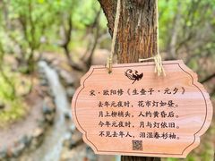 -太山博物馆(太山景区)