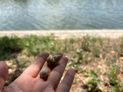 -北运河水利风景区