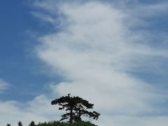 -妙峰山风景名胜区