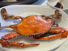 -大锅强·蒸海鲜青岛菜(金沙滩店)