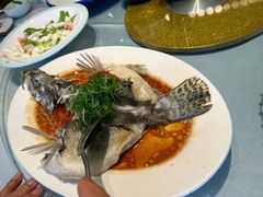 -松雅轩(大源店)