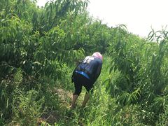 -南汇水蜜桃采摘(大团店)