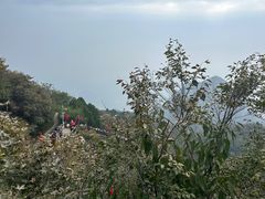 -狼牙山风景区