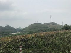 -齐岳山