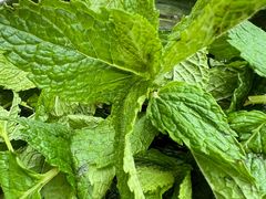 -攀枝花·任德琼·盐边羊肉米线