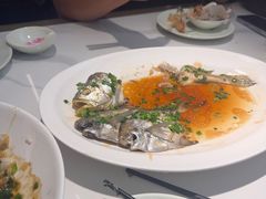 -船歌·鱼水饺青岛菜(正阳路店)