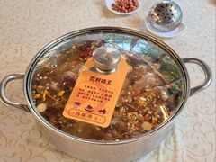 -百利鸽王(紫薇路店)