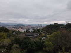 -福道