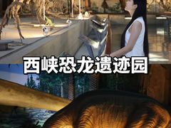 -中国西峡恐龙遗迹园