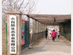 -大自然农场蔬菜草莓采摘园