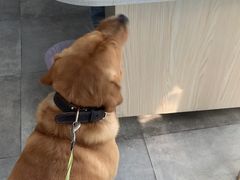-甄爱宠物医院(疏影路店)