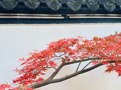 -汇龙潭