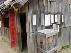 -疏芬山金矿