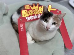 -幸福西饼生日蛋糕·下午茶(思明店)