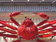 -蟹道乐(道顿堀本店)