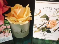 -SCENT BOUTIQUE