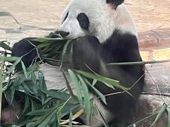 -南宁市动物园