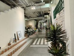 -好看加白色房子