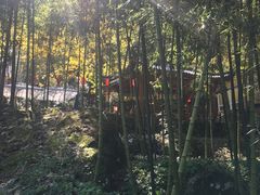 -藏龙百瀑风景区