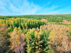 -塞罕坝国家级自然保护区