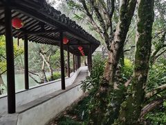 -上海醉白池公园