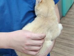 -中农大我爱我爱24h动物医院·中医针灸·猫专科·骨科医疗中心(双井店)