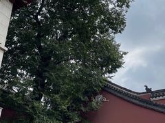 -长春观