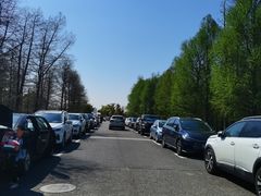 -广富林郊野公园