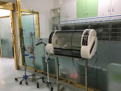 -汪喵宠物医院·骨科心脏影像·犬猫急重症ICU诊疗中心(成华分院)