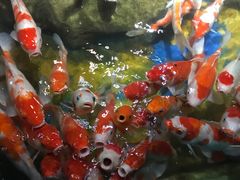 -太平洋海底世界