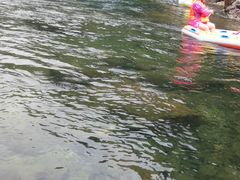 -安吉龙王山峡谷漂流
