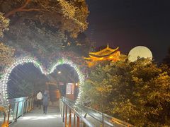 -巴倒烫陆派重庆火锅(南山店)